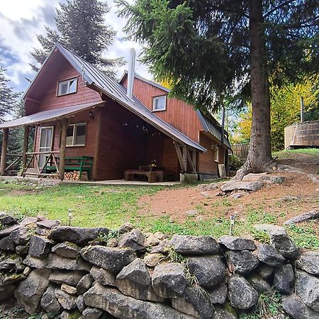 Vén Fenyő Kunyhó Ciceu Exterior foto
