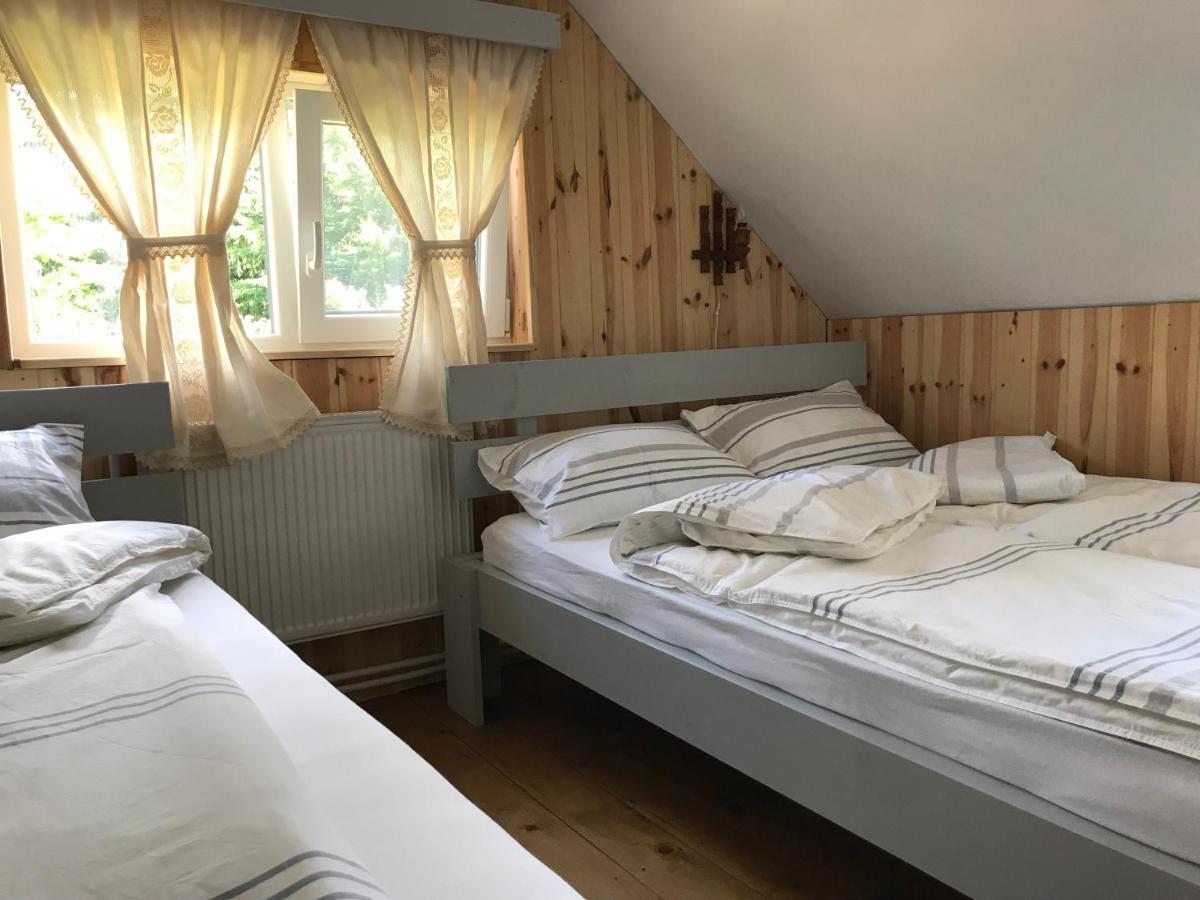 Vén Fenyő Kunyhó Ciceu Exterior foto