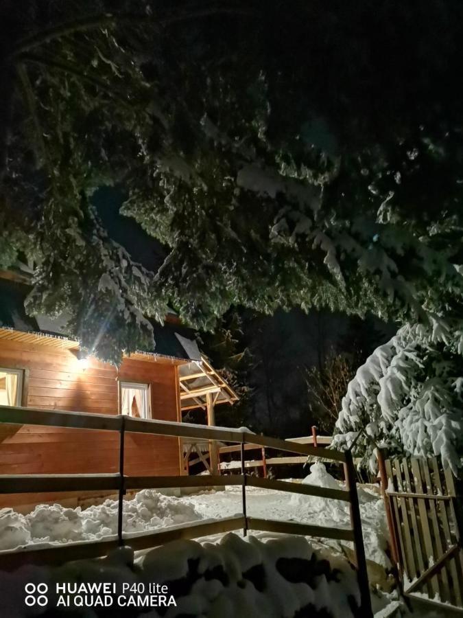 Vén Fenyő Kunyhó Ciceu Exterior foto